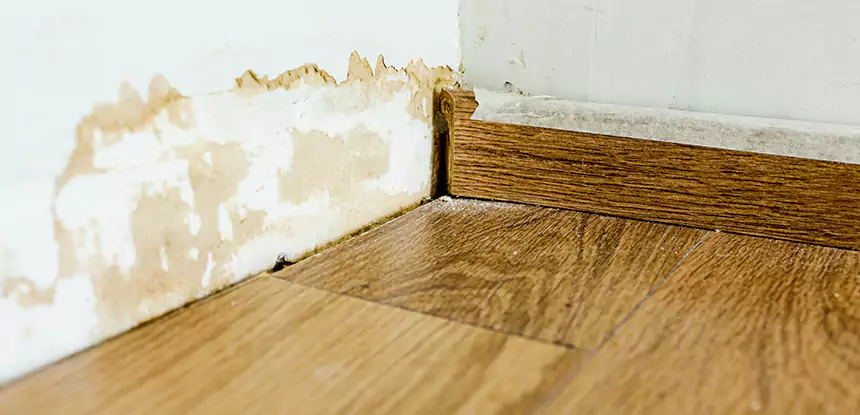 Professional Fix Water Damaged Wood Services in Clarkdale, GA